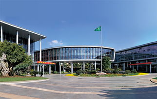 云南,經(jīng)營(yíng)管理,創(chuàng)新,創(chuàng)業(yè)