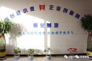 創(chuàng)新創(chuàng)業(yè)基地運營專員,創(chuàng)新創(chuàng)業(yè)運營分析,創(chuàng)新創(chuàng)業(yè)運營計劃