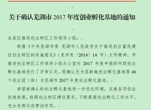 蕪湖市創(chuàng)新創(chuàng)業(yè)人才認定補貼