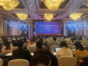 湖南省創(chuàng)新創(chuàng)業(yè)項(xiàng)目