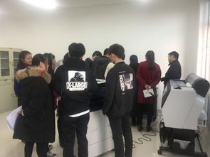 較低,動手能力,實踐,創(chuàng)新