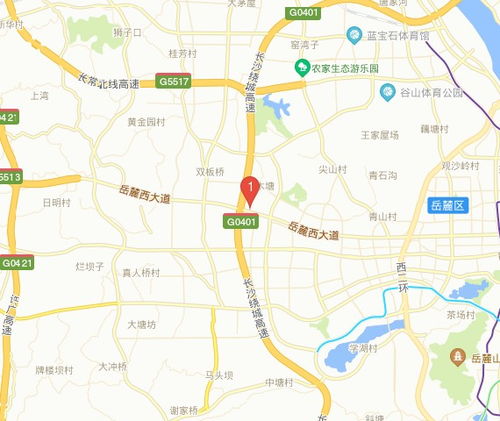 麓谷科技創(chuàng)新創(chuàng)業(yè)園是什么街道