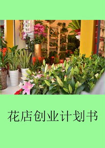 花店創(chuàng)新創(chuàng)業(yè)項目