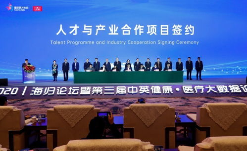 重慶市,團(tuán)隊(duì),英才,創(chuàng)新