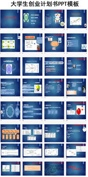 大學(xué)生創(chuàng)業(yè)創(chuàng)新計(jì)劃書(shū)ppt