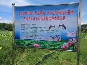 南昌大學(xué)創(chuàng)新創(chuàng)業(yè)學(xué)院,南昌大學(xué)創(chuàng)新創(chuàng)業(yè)基礎(chǔ)課答案,南昌大學(xué)創(chuàng)新創(chuàng)業(yè)學(xué)分