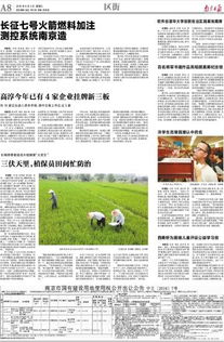 申請書,實踐,創(chuàng)新,創(chuàng)業(yè)