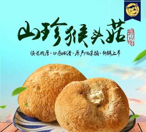 發(fā)好的猴頭菇可以冷凍保存嗎