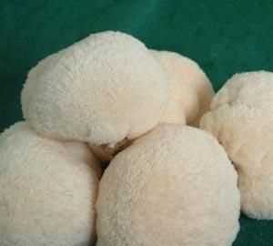 新鮮野生猴頭菇怎么保存