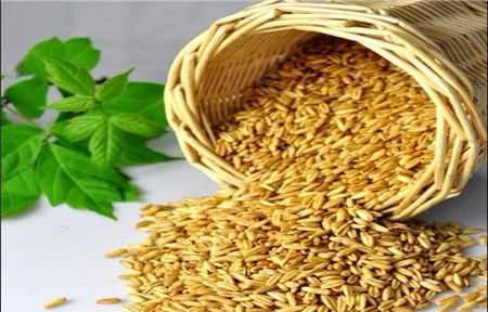 烏麥是什么東西