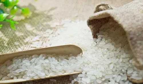 小米生白色蠕蟲還能吃,小米生黑色蟲了還能吃么圖2