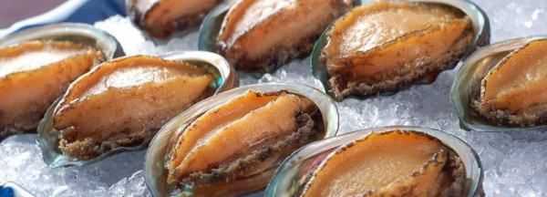 鮑魚(yú)可以凍么,鮑魚(yú)可以放在冰箱里冷凍嗎圖2