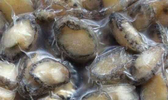 鮑魚(yú)可以凍么,鮑魚(yú)可以放在冰箱里冷凍嗎圖3