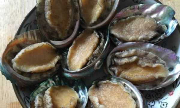 鮑魚(yú)可以凍么,鮑魚(yú)可以放在冰箱里冷凍嗎圖6