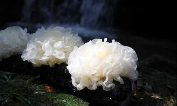 銀耳蓮子羹一周吃幾次，養(yǎng)生壺燉銀耳蓮子羹需要多長時間？圖3