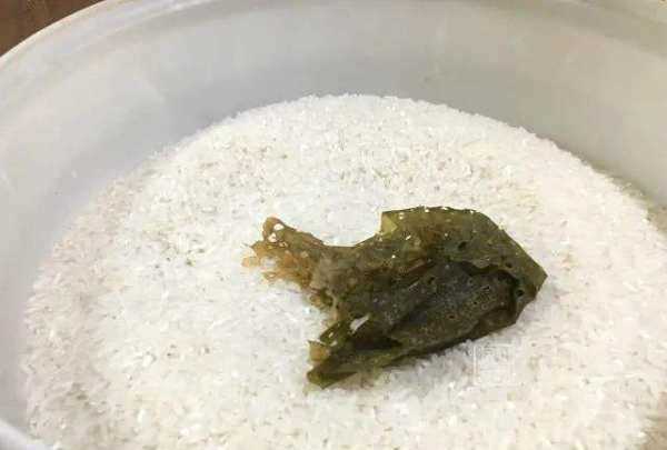 米有米蟲該怎么辦,大米里面發(fā)現(xiàn)了米蟲怎么辦圖5