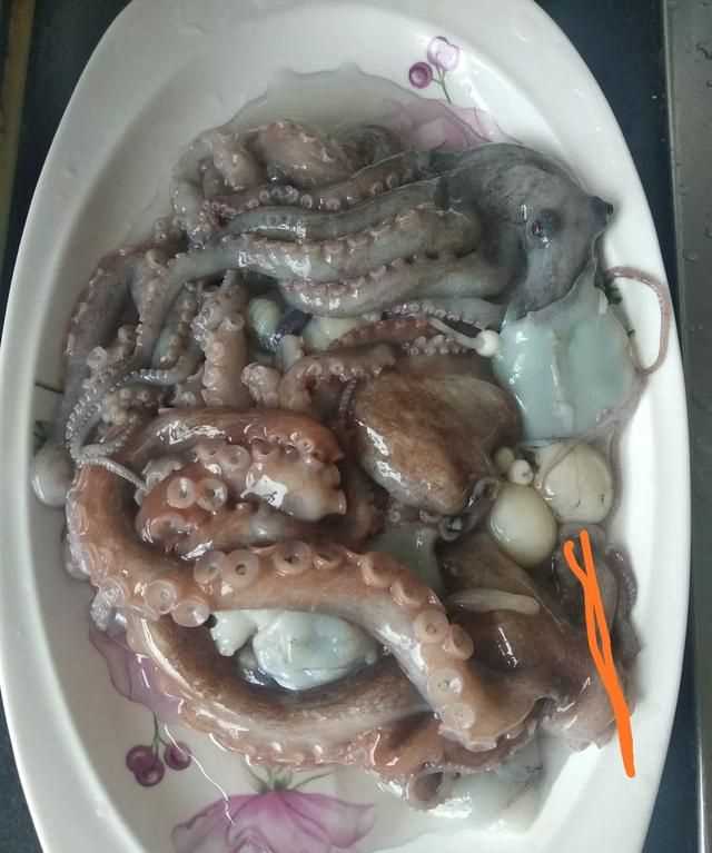 八爪魚的哪些部位不能吃
，八爪魚怎么吃好吃？哪里不能吃？圖3