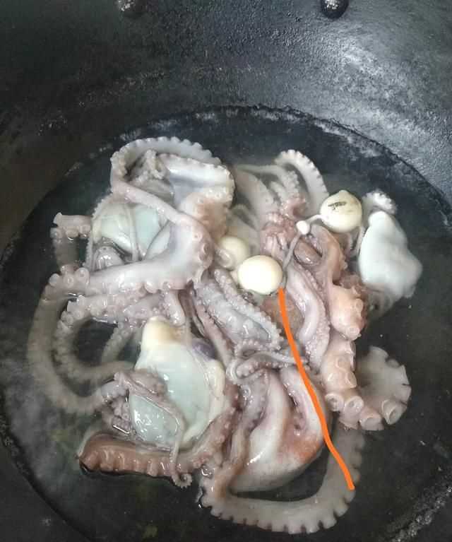 八爪魚的哪些部位不能吃
，八爪魚怎么吃好吃？哪里不能吃？圖5