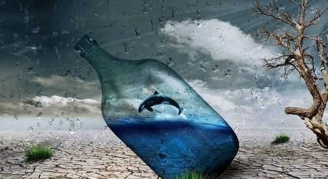 為什么說(shuō)水是生命之源，人為什么說(shuō)水是生命之源？圖1