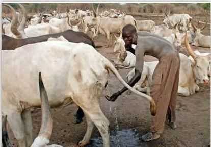 為什么說(shuō)水是生命之源，人為什么說(shuō)水是生命之源？圖5