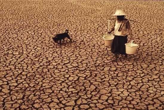 為什么說(shuō)水是生命之源，人為什么說(shuō)水是生命之源？圖6