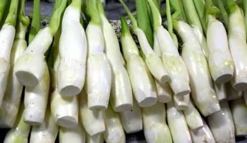 茭白發(fā)綠了還能吃嗎，茭白的葉子可以剪掉嗎？圖9