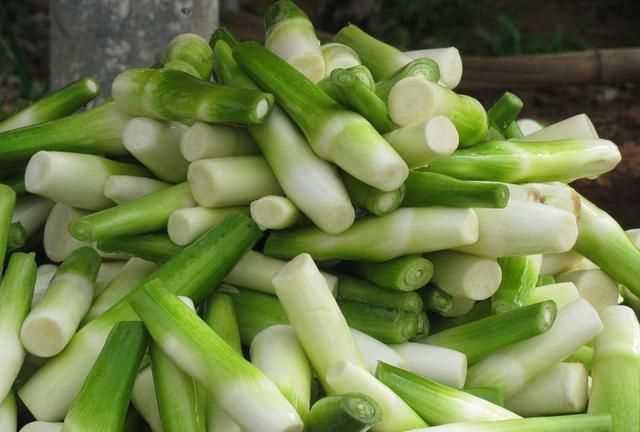 茭白發(fā)綠了還能吃嗎，茭白的葉子可以剪掉嗎？圖10