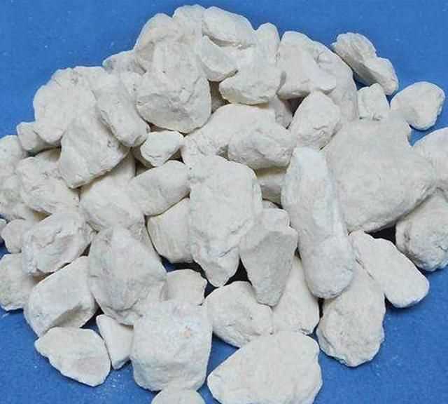 面粉長蟲子了怎么辦，買的面里面有小蟲子怎么辦？圖4