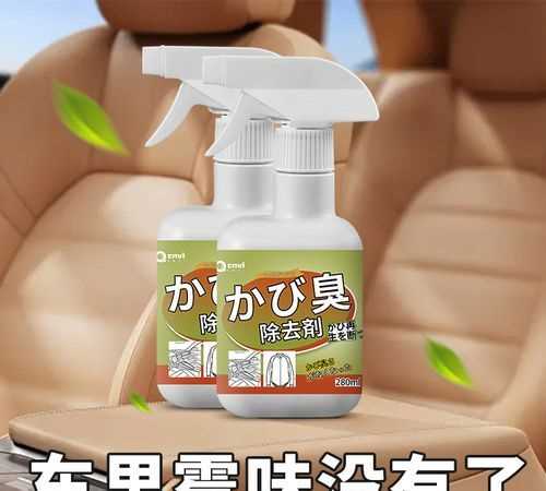 汽車泡水有異味怎么處理