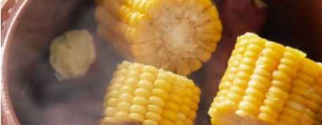 玉米蒸多久能蒸熟,蒸箱蒸玉米多久可以蒸熟圖1