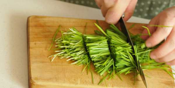 做清明團子用什么草,做清明團的植物叫什么圖3