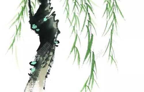 弱柳從風疑舉訣出自哪里