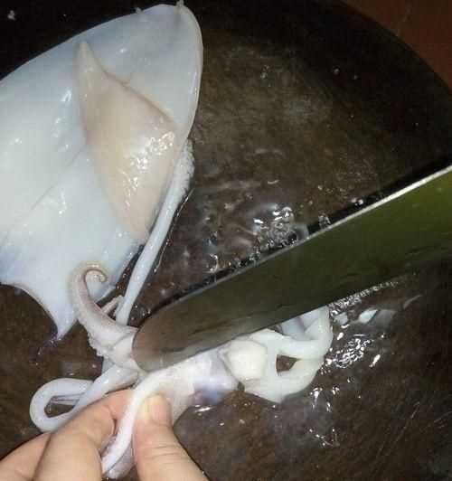 曬干了的魷魚怎么做才好吃