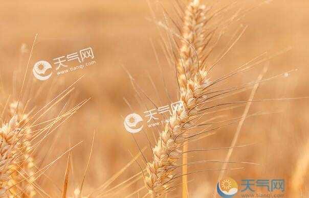 二十四節(jié)氣分別是什么各對應(yīng)幾月幾號以及它的來歷