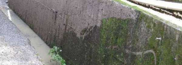 院子里長(zhǎng)青苔怎么去除,院子里青苔怎么清除 院子里青苔的解決方法視頻圖4