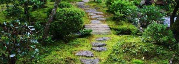 院子里長(zhǎng)青苔怎么去除,院子里青苔怎么清除 院子里青苔的解決方法視頻圖6