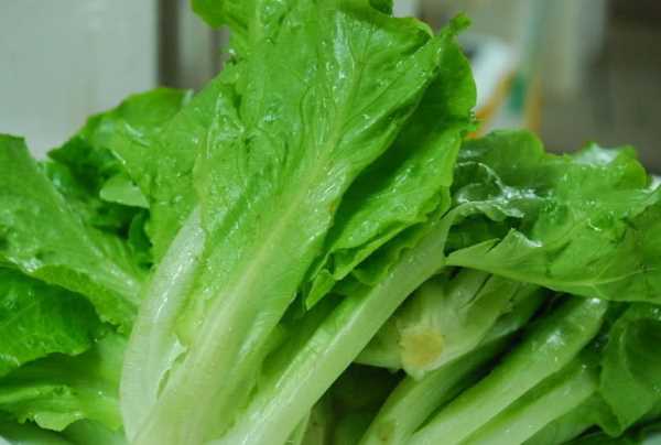 蠔油生菜怎么做竅門,蠔油生菜怎么做才好吃又簡單圖3