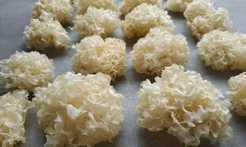 銀耳熬不出膠有功效,銀耳不出膠和出膠的營(yíng)養(yǎng)區(qū)別在哪圖3