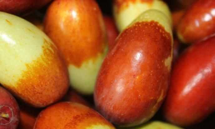 送棗的寓意是什么意思,送棗的寓意是什么意思