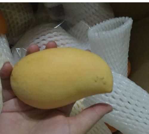 芒果能直接吃嗎