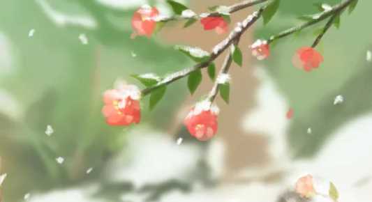 不經(jīng)一事的下一句,時間識人,不經(jīng)一事,不懂一人下一句圖1