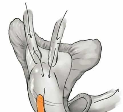 航天員怎么拉屎，神舟十二號航天員大小便怎么處理？圖5