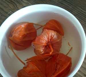 紅姑娘的功效與作用有哪些?