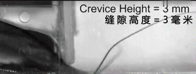 蟑螂多久會餓死，怎么才能切斷家里的水源徹底讓蟑螂餓死？圖9