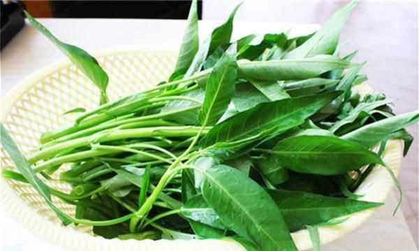 空心菜的功效與作用禁忌