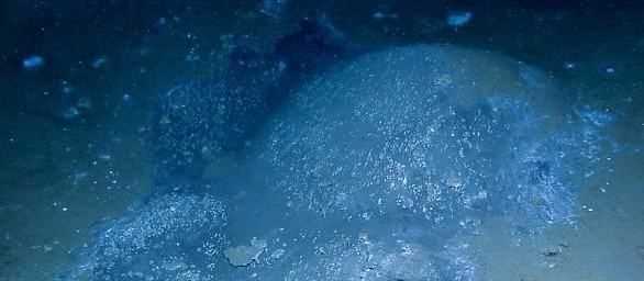 可燃冰的定義是什么,什么是可燃冰圖4