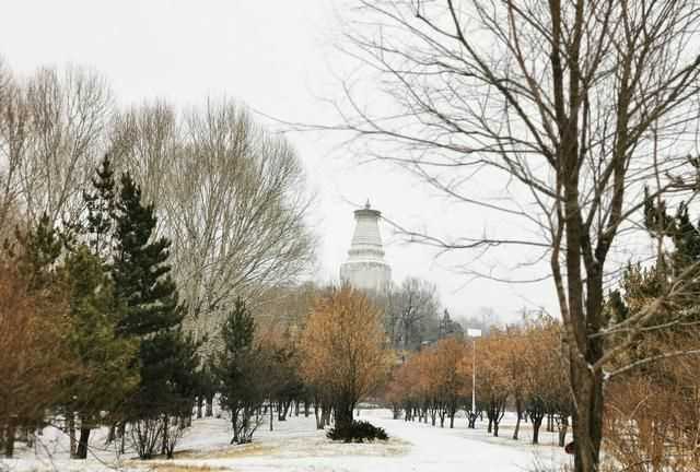 五臺(tái)山在哪個(gè)省，武當(dāng)山、泰山、華山、五臺(tái)山、西湖、青海湖分布在哪個(gè)??？圖5