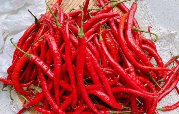 辣椒放冰箱還是放外面好