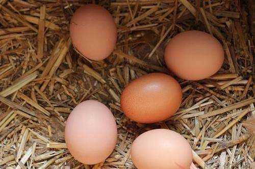 什么菜可以炒雞蛋,雞蛋炒什么菜好吃又簡單圖12