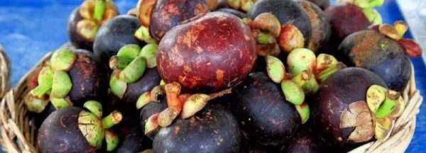 山竹果肉上的黃東西是什么能吃,山竹里面的黃色東西是什么可以吃嗎圖2